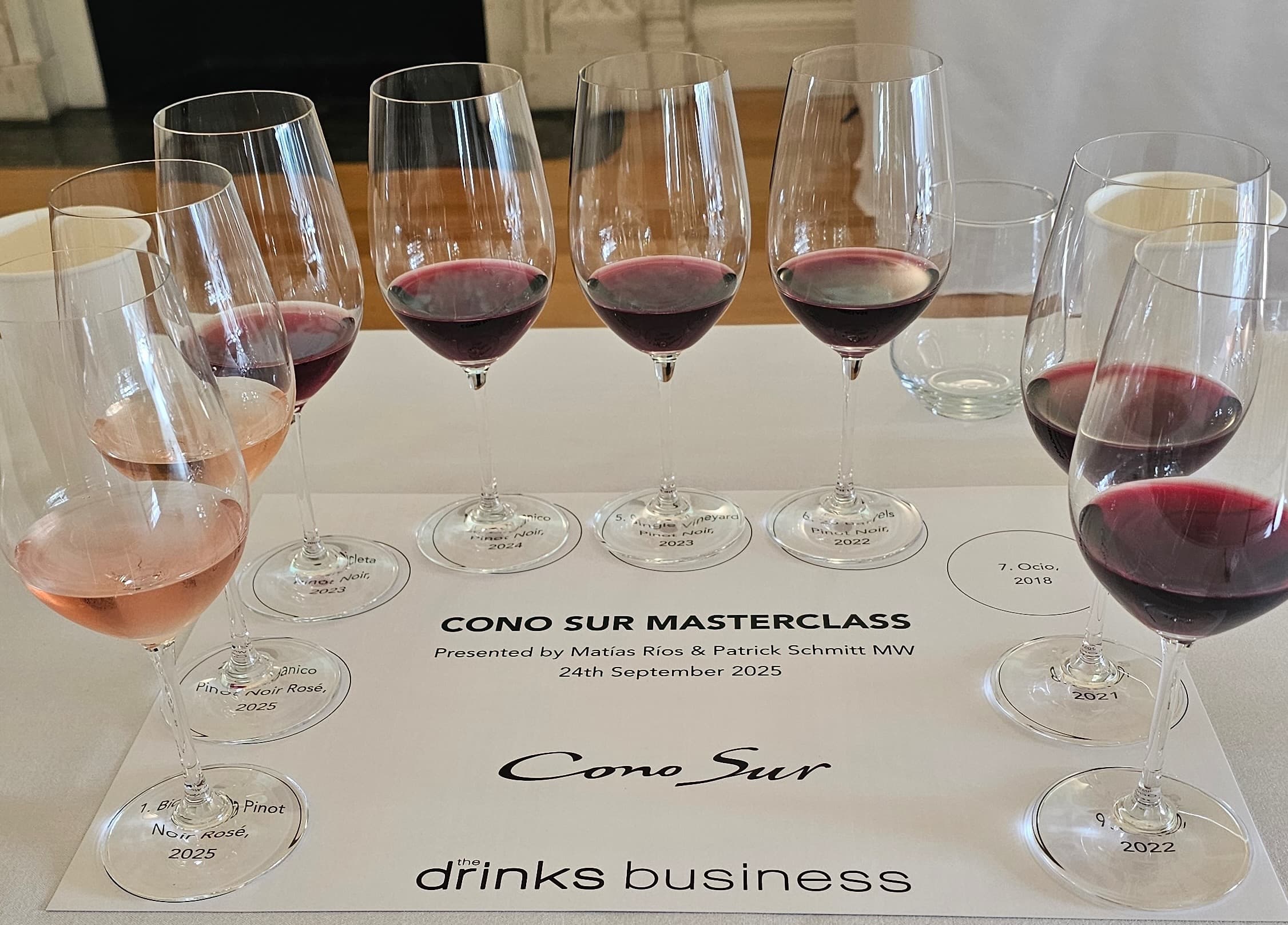 The many faces of Chilean Pinot Noir